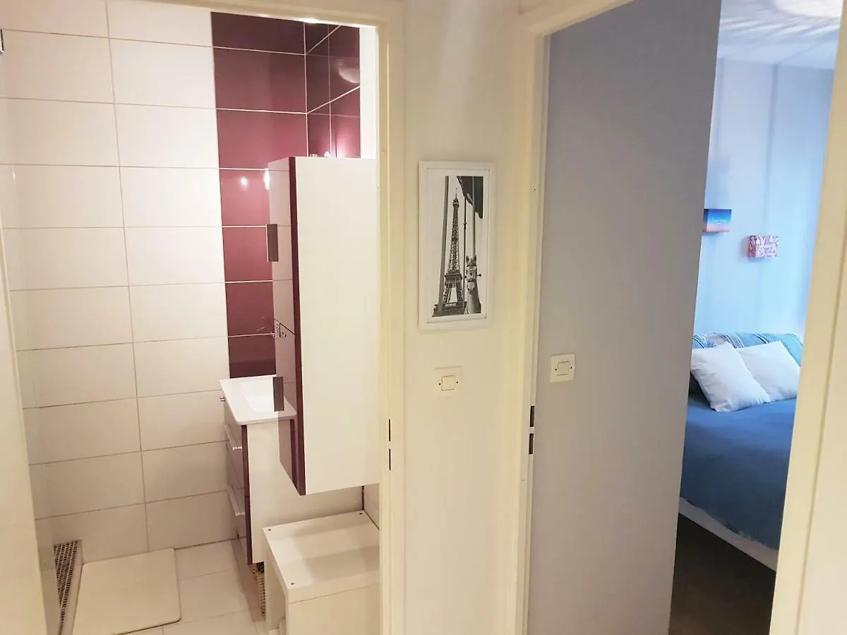 Hortensias Toulouse Apartment